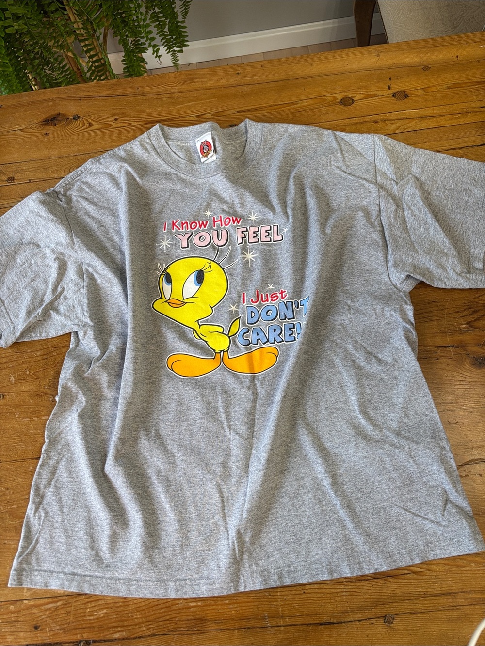 Warner Bros. Tweety Bird “I know how you feel I just don’t care!”Graphic